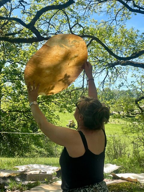 Coralie examine une peau de tambour à la lumière du jour