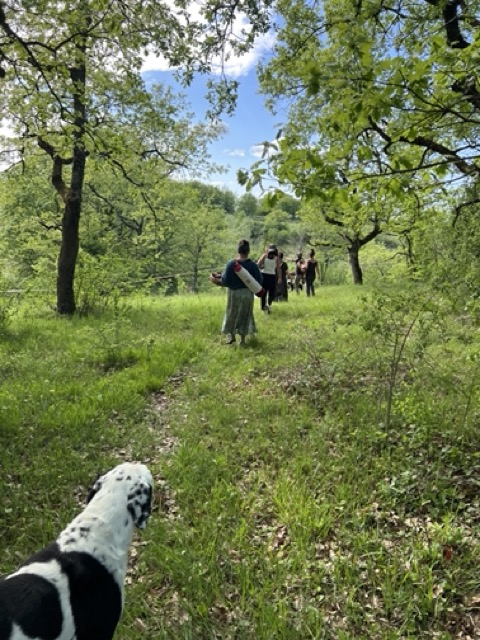 Stage de tambour chamanique dans la prairie du Quercy
